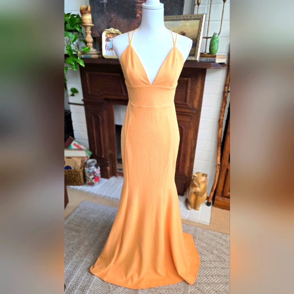 Elegant Orange Evening Gown by Windsor.  Lined Size Medium